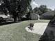 230 Delaware, Bolingbrook, IL 60440