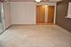 17155 Kamp Unit 9, Tinley Park, IL 60487