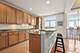 1996 Patriot, Glenview, IL 60026