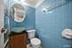 521 Michael Mnr, Glenview, IL 60025