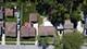 227 Kentucky, Park Forest, IL 60466