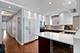 916 W Fletcher Unit C, Chicago, IL 60657