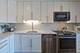 4838 Howard Unit 401, Skokie, IL 60077