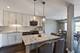 4838 Howard Unit 401, Skokie, IL 60077