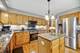 67 Shelby, Vernon Hills, IL 60061