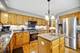 67 Shelby, Vernon Hills, IL 60061
