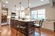 252 Nita, Libertyville, IL 60048