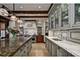 536 W Barry, Chicago, IL 60657