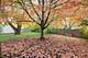 209 W Gartner, Naperville, IL 60540