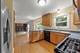 4525 Waubansie, Lisle, IL 60532