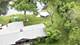 83 Wildwood, Barrington, IL 60010