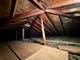 4935 N Frank, Norridge, IL 60706