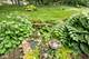 510 W Dolph, Yorkville, IL 60560