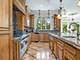51 Ford, Naperville, IL 60565