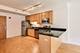 1250 S Indiana Unit 710, Chicago, IL 60605