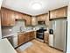 71 Larch Unit B, Schaumburg, IL 60193