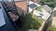 3407 S Indiana Unit 3, Chicago, IL 60616