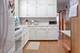 1042 Circle, Forest Park, IL 60130