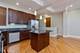 4852 S Prairie Unit 1B, Chicago, IL 60615