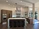 1026 Lathrop, River Forest, IL 60305