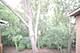 5817 Oakwood Unit F, Lisle, IL 60532