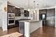 484 Golden Star, Bolingbrook, IL 60490
