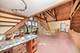 607 Berkshire, Downers Grove, IL 60516