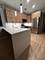 1506 N Bosworth Unit 1, Chicago, IL 60642
