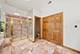 14701 Crystal Tree, Orland Park, IL 60462