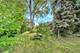738 N Parker, Elmhurst, IL 60126