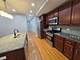 229 N Mason Unit 1N, Chicago, IL 60644