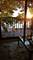 209 Shoreline Unit B, Lake Barrington, IL 60010