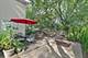 822 Woodbine, Lake Zurich, IL 60047