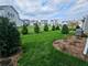 5954 Hawkweed Unit 5954, Naperville, IL 60564