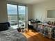 1640 N Maple Unit 1006, Evanston, IL 60201