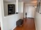 1640 N Maple Unit 1006, Evanston, IL 60201
