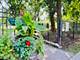 1250 W Van Buren Unit 203, Chicago, IL 60607