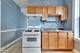 1451 N Monticello Unit 2, Chicago, IL 60651