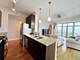 1400 S Michigan Unit 2004, Chicago, IL 60605
