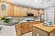18049 Brittany, Lansing, IL 60438