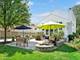 213 Walker, Clarendon Hills, IL 60514