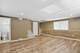 11307 German Church, Willow Springs, IL 60480
