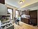 1107 W Barry Unit 1, Chicago, IL 60657