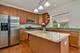 13028 Bradford, Plainfield, IL 60585