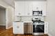 3300 N Karlov Unit 1, Chicago, IL 60641