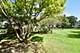1321 Providence, Elgin, IL 60120