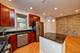 911 Maple Unit 1N, Evanston, IL 60202