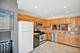 117 Oneida, Bloomingdale, IL 60108