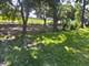 1337 W Haddon, Chicago, IL 60622