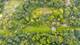 2220 Anne, Crete, IL 60417